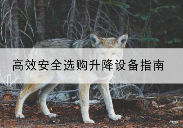 宜秀升降货梯厂家推荐-*安全选购升降设备指南