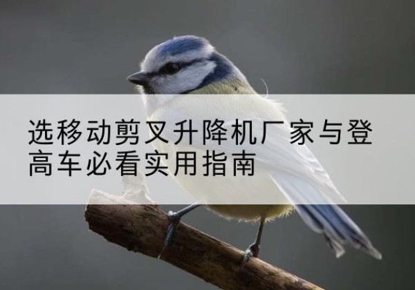 宜秀电动升降机厂家-选移动剪叉升降机厂家与登高车必看实用指南